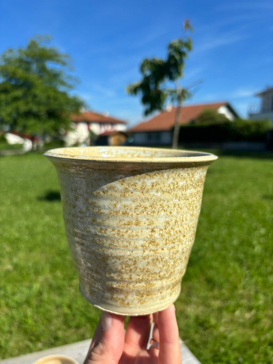 Pot - Nucléation